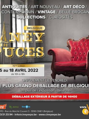 Puces Cinez Antiquites
