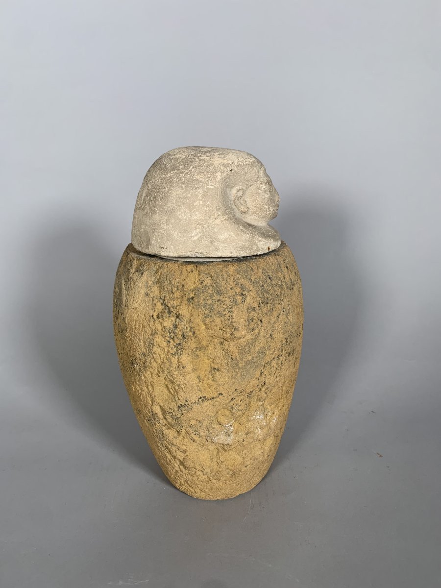 Canopic Vase Ancient Egypt God Amset Late Perio | Antikeo