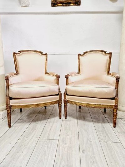 Paire De Fauteuils Bergères Anciens Louis XVI