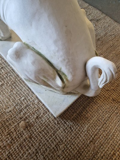 Coppia di statue di leoni in marmo antico **molto pesanti**