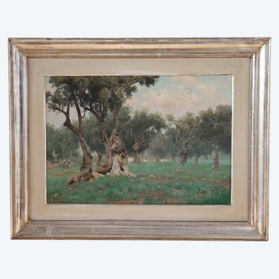 Italian Artist, Olive Grove Landscape, Oil Painting on Canvas, 19th Century
