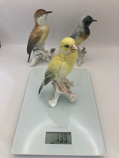 Birds Karl Ens
