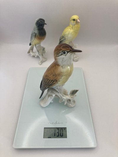 Birds Karl Ens