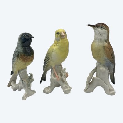 Birds Karl Ens