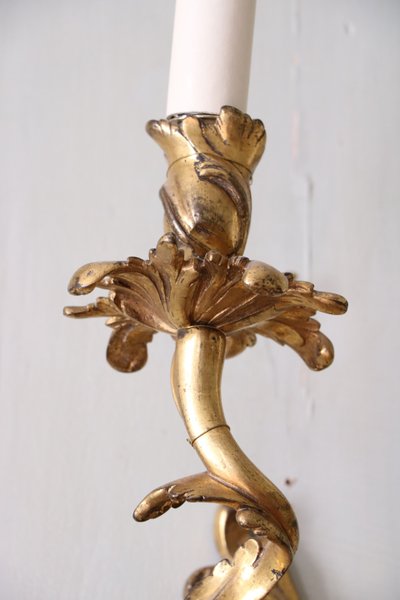 Paire d'applique Louis XV en bronze doré