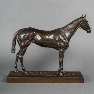 Scultura - Cavallo da corsa, Henri De Vains (1851-1909) - Bronzo