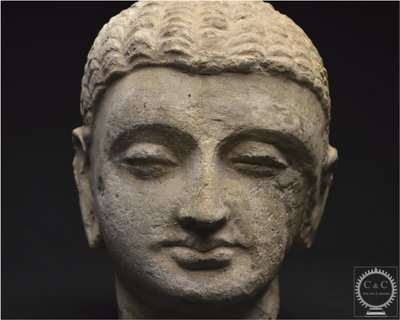 Pakistan, Ancient Gandhara region, 2nd-3rd century AD, Stucco Buddha head