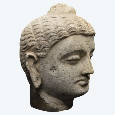 Pakistan, Ancient Gandhara region, 2nd-3rd century AD, Stucco Buddha head