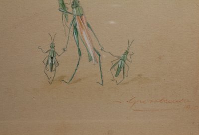 Humorous studies representing insects, gouache drawing signed around 1910