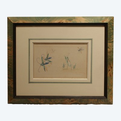 Humorous studies representing insects, gouache drawing signed around 1910