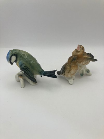 Tit and sparrows