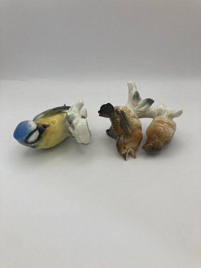 Tit and sparrows
