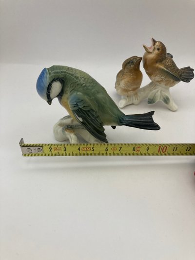 Tit and sparrows