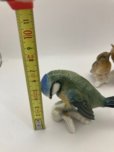Tit and sparrows