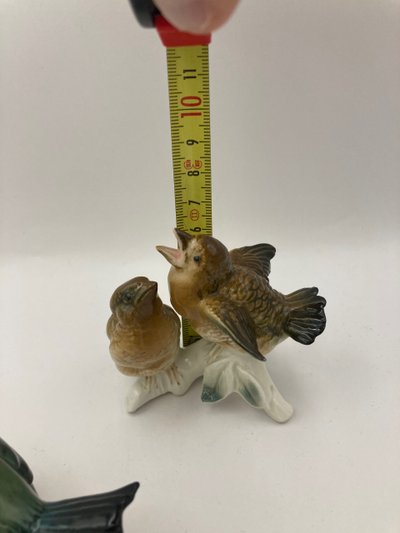 Tit and sparrows