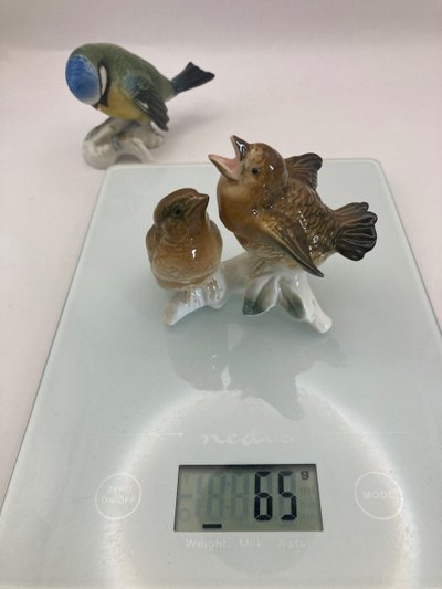 Tit and sparrows