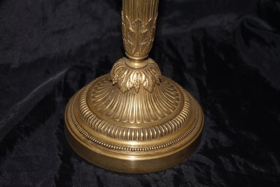 Coppia di candelabri in bronzo a 5 bracci in stile Luigi XVI, XIX secolo
