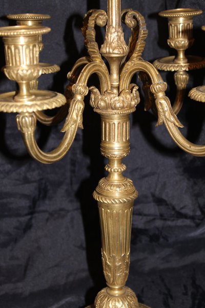 Coppia di candelabri in bronzo a 5 bracci in stile Luigi XVI, XIX secolo