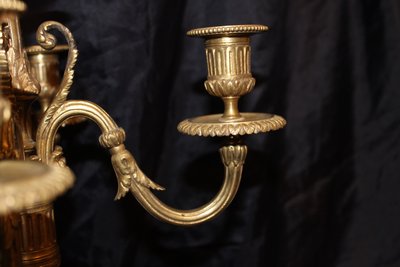 Coppia di candelabri in bronzo a 5 bracci in stile Luigi XVI, XIX secolo