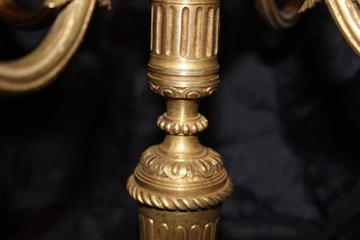 Coppia di candelabri in bronzo a 5 bracci in stile Luigi XVI, XIX secolo