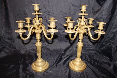 Coppia di candelabri in bronzo a 5 bracci in stile Luigi XVI, XIX secolo