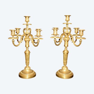 Coppia di candelabri in bronzo a 5 bracci in stile Luigi XVI, XIX secolo