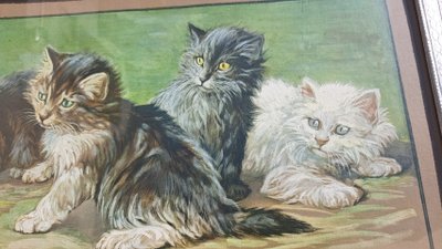 Tableau gravure de  Fannie Moody  chats jouent avec pelote de laine XXEME