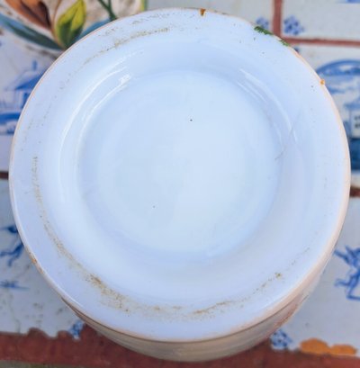 Pair of 19th century opaline vases