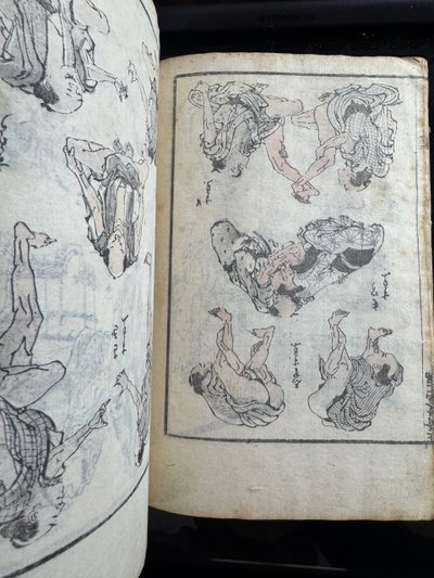 Manga Ancien (1760-1849) - Collection
