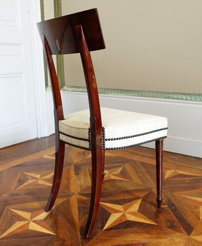 Set of 10 Directoire dining room chairs in mahogany with horsehair covers, Jacob model