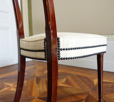 Set of 10 Directoire dining room chairs in mahogany with horsehair covers, Jacob model