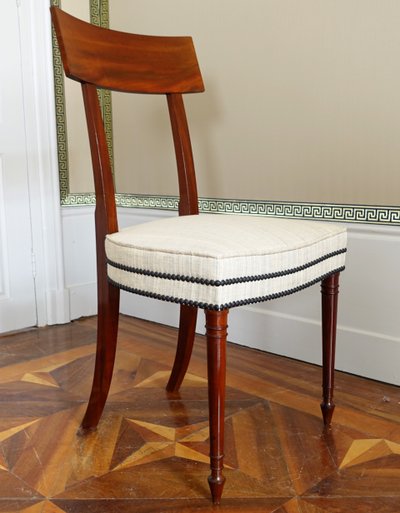Set of 10 Directoire dining room chairs in mahogany with horsehair covers, Jacob model