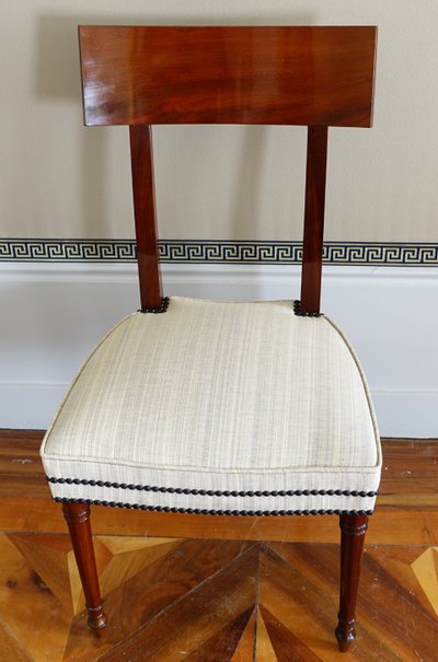 Set of 10 Directoire dining room chairs in mahogany with horsehair covers, Jacob model