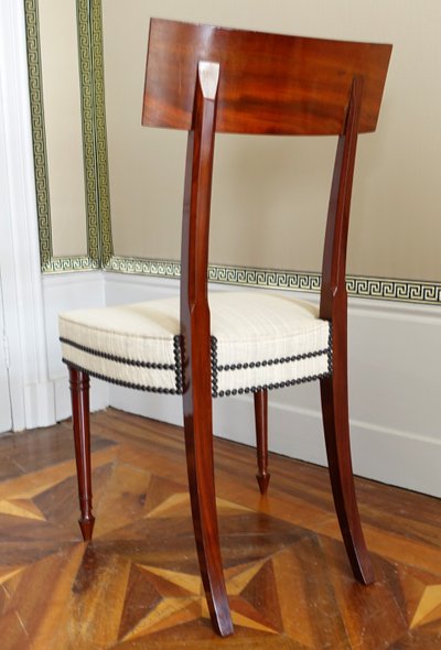 Set of 10 Directoire dining room chairs in mahogany with horsehair covers, Jacob model