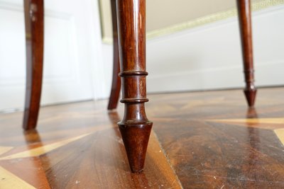 Set of 10 Directoire dining room chairs in mahogany with horsehair covers, Jacob model