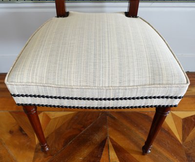 Set of 10 Directoire dining room chairs in mahogany with horsehair covers, Jacob model