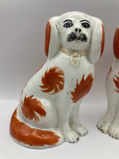 Paire Cavalier King Charles 