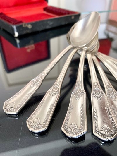 Silver Plated Dessert Spoons in Boxed Set