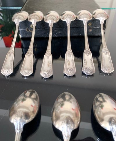 Silver Plated Dessert Spoons in Boxed Set