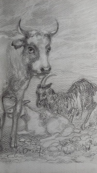 Pastoral care