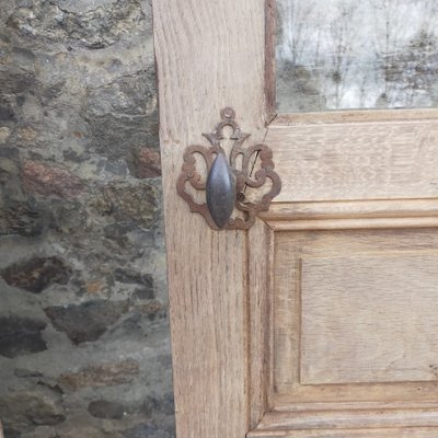 Antique 6-Panel Oak Glazed Door With Hardware