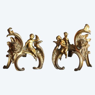 Gilt bronze andirons from the 18th century
