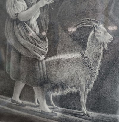 Drawing attributed to Edouard Pingret, young goat keeper knitting - gilded wood frame