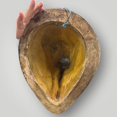 Grande trofeo di toro a grandezza naturale in terracotta policroma - Segno Fine XIX secolo