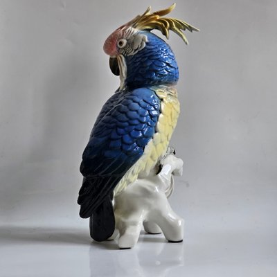 Karl Ens large parrot