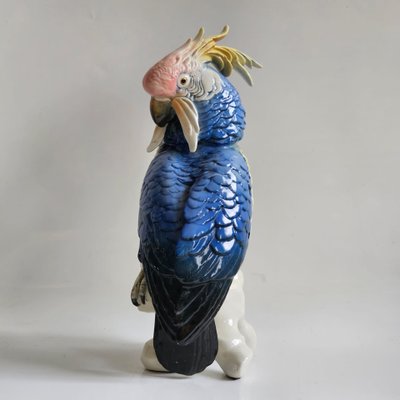 Karl Ens large parrot