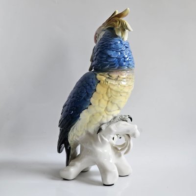 Karl Ens large parrot