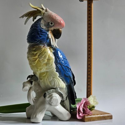 Karl Ens large parrot
