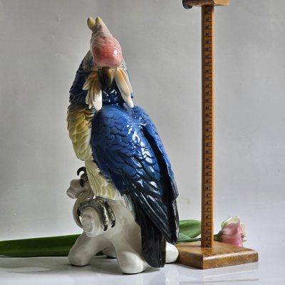 Karl Ens large parrot