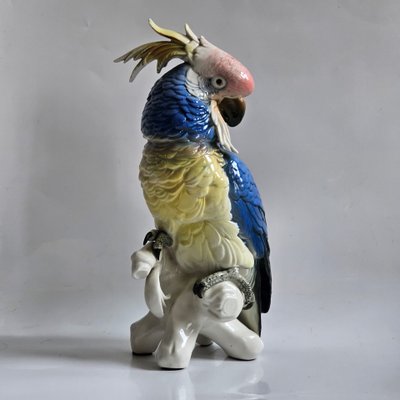 Karl Ens large parrot